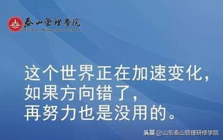 聚焦思考，破局创业新世代——对当下时代下90后创业择业分析与财富启示的研究及反思。
