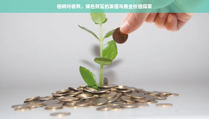 羊小咩便荔卡额度提现与查询攻略，商家合作与操作指南