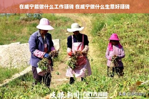 京东白条收款提现详解，步骤、方法与注意事项