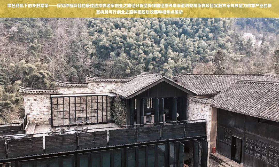 探索未知，专业家电品牌的故事与魅力