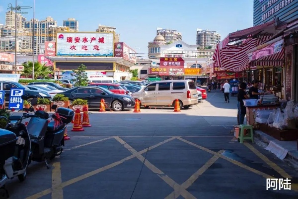 瑞安好赚钱的地方探索，多元化发展与机遇共存