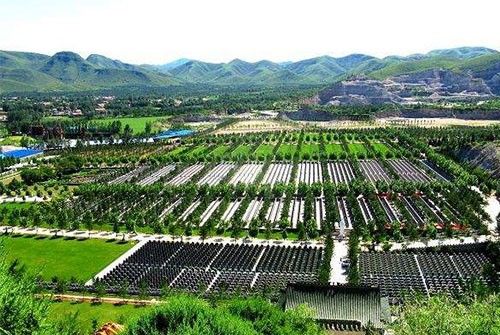 高新区早教中心加盟店，成功之路与启示