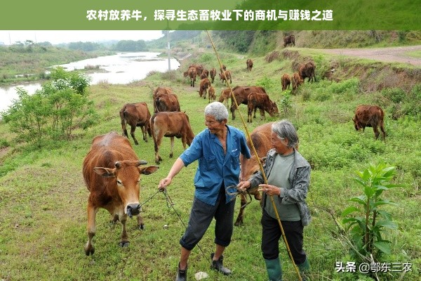繁昌母婴看护品牌知多少？全面解析当地母婴看护品牌及其特色