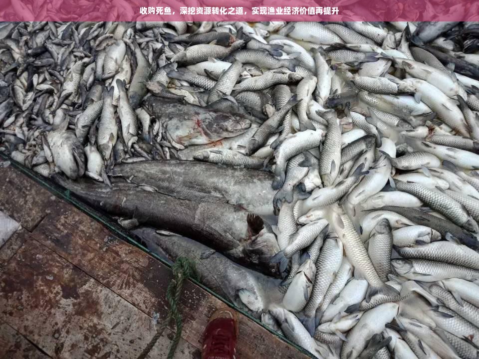 京东白条额度详解，如何提升额度及实际使用案例
