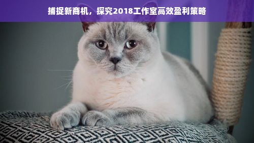 母婴品牌倒闭背后的故事，原因、案例与启示