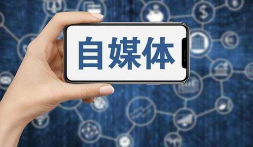 羊小咩便荔卡额度提现与优惠设置详解