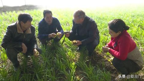 2023年中国十大品牌油漆涂料厂家排名及选购指南