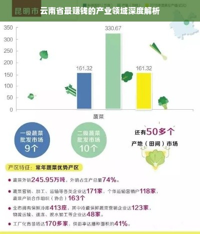 云南省最赚钱的产业领域深度解析