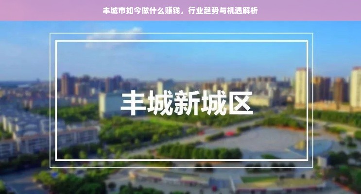 德森板材，揭秘其品牌定位与市场表现