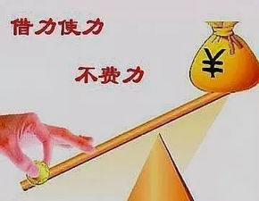 山东户外蚊香棒品牌精选指南
