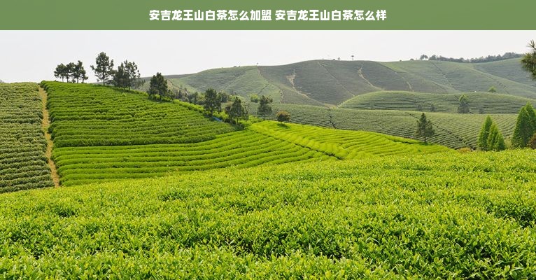 探寻古典韵味，盘点那些令人着迷的古典舞蹈男装品牌