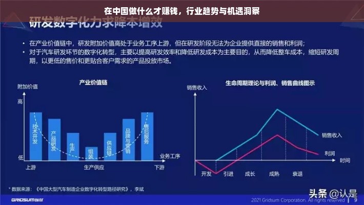 在中国做什么才赚钱，行业趋势与机遇洞察