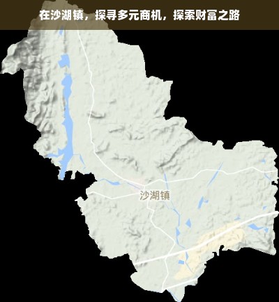 在沙湖镇，探寻多元商机，探索财富之路