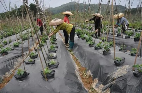 万玲玲舞蹈品牌Boom，如何用舞蹈点燃青春激情