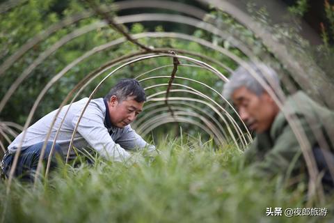 安徽地区全攻略，盘点热门商用厨具品牌及案例分享