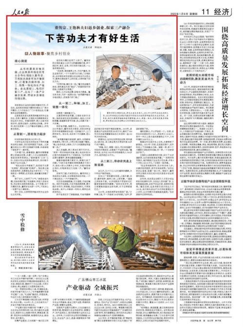 京东白条额度如何提升并有效使用？了解这些决定额度的重要因素！