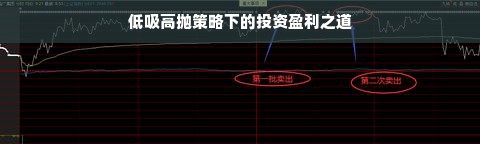 低吸高抛策略下的投资盈利之道