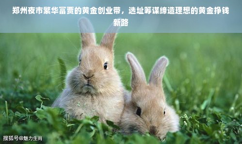 绥化知名早教加盟机构探秘