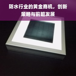 防水行业的黄金商机，创新策略与前瞻发展