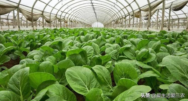吴磊谈医药品牌，策略、案例与未来展望
