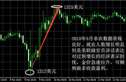 哈哈贝贝早教加盟之路，从了解到行动一步到位