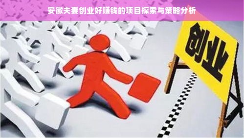 安徽夫妻创业好赚钱的项目探索与策略分析