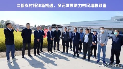 江都农村赚钱新机遇，多元发展助力村民增收致富