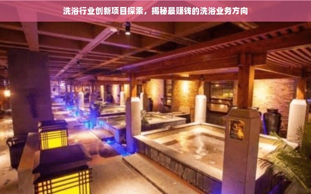 洗浴行业创新项目探索，揭秘最赚钱的洗浴业务方向
