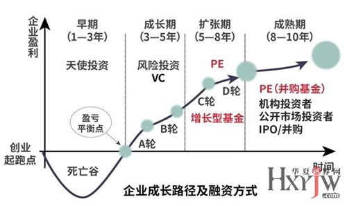 能做什么创业行业赚钱多，探索高潜力市场的多元路径