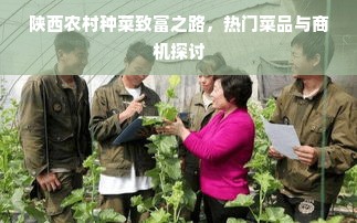 陕西农村种菜致富之路，热门菜品与商机探讨