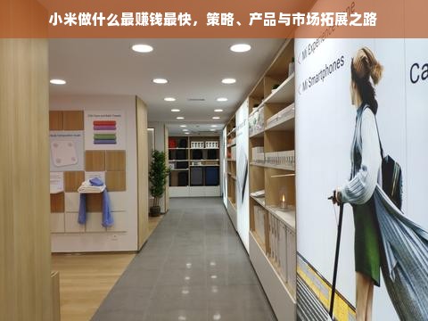 小米做什么最赚钱最快，策略、产品与市场拓展之路