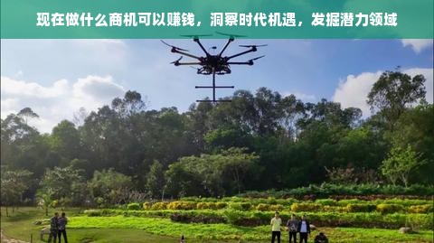 现在做什么商机可以赚钱，洞察时代机遇，发掘潜力领域