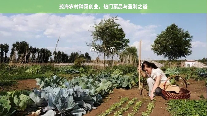 鹿优选先享卡额度兑现，我鹿优选的额度是多少？