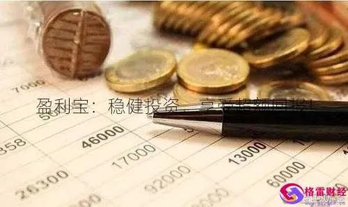 羊小咩便荔卡包额度攻略，提升与套现实战指南