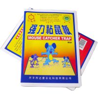 绍兴地摊经济下的热门职业与赚钱攻略