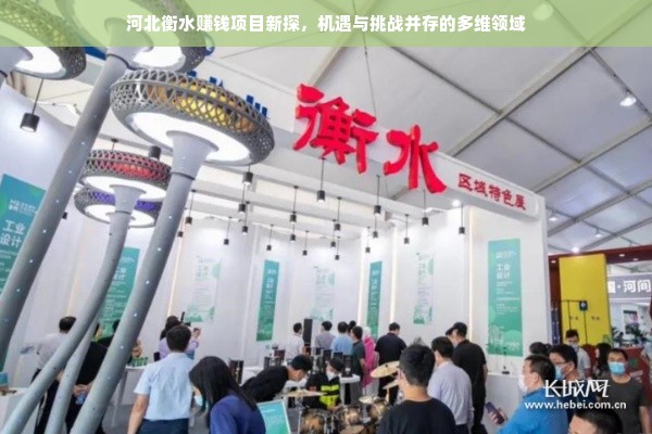 河北衡水赚钱项目新探，机遇与挑战并存的多维领域