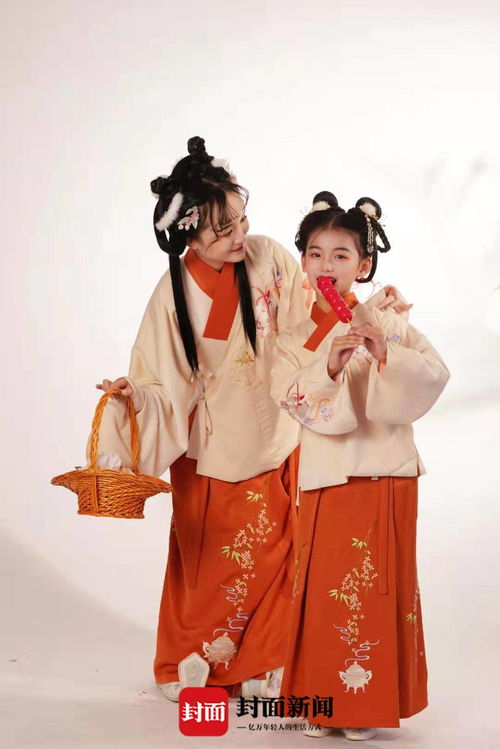 探索Shenhua家电品牌之路，品质与创新并重