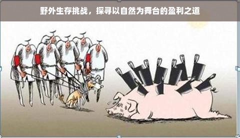 上海小家电品牌，品质生活的细致诠释