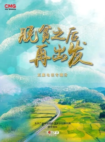 医药品牌专利，创新、保护与竞争优势的构建