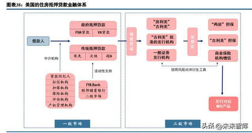 羊小咩便荔卡扫描能否成功套现？深入了解与解析