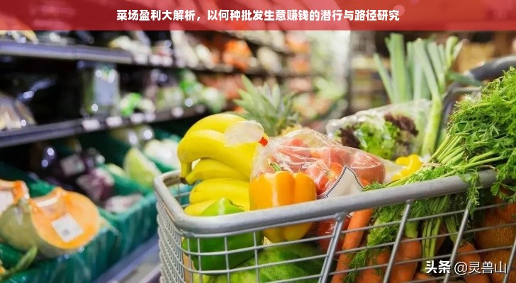 菜场盈利大解析，以何种批发生意赚钱的潜行与路径研究