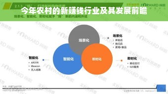 京东白条额度套现全解析