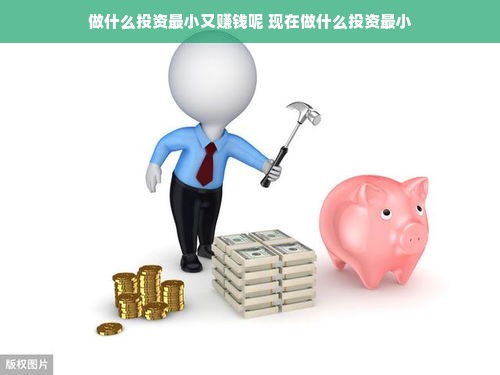 羊小咩便荔卡额度提现攻略，商家的使用指南与实操案例