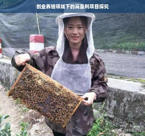 全球快递打印机品牌风云榜，揭秘行业佼佼者