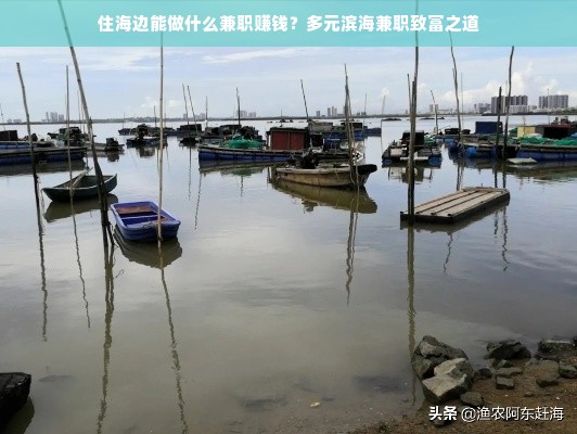 住海边能做什么兼职赚钱？多元滨海兼职致富之道