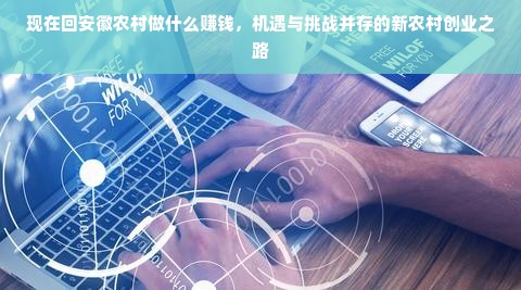 现在回安徽农村做什么赚钱，机遇与挑战并存的新农村创业之路