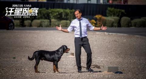 我们的餐饮品牌承诺——品质、服务与创新的坚守