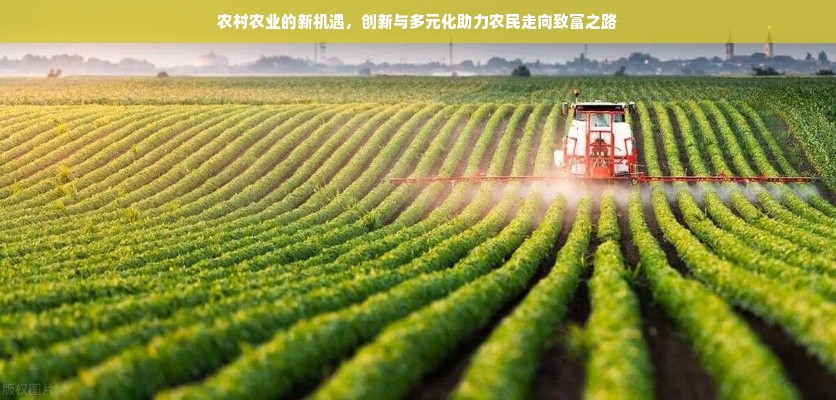 成都白条套现攻略，合法与风险并存