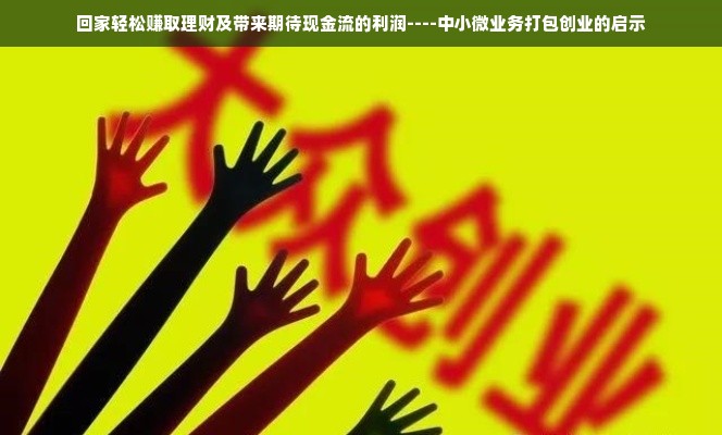 回家轻松赚取理财及带来期待现金流的利润----中小微业务打包创业的启示