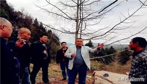 王俊杰的早期创业之路，探索生意场上的成功秘诀